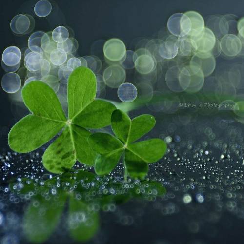 رضام سلام رفیق نیمه راه شدی واسم یه اشتباه آهنگی که گوش میدادم نقطه‌ی ضعفمه شبا